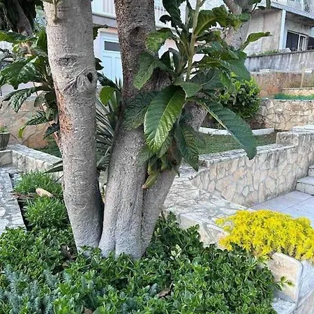 Andrea&goran * Selce