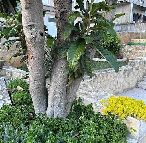 Andrea&goran * Селце